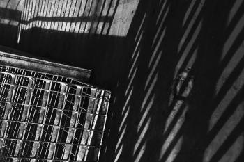 Chris-Kister Kaefiglandschaft I 6376