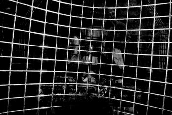 Chris-Kister Käfiglandschaften III 6753